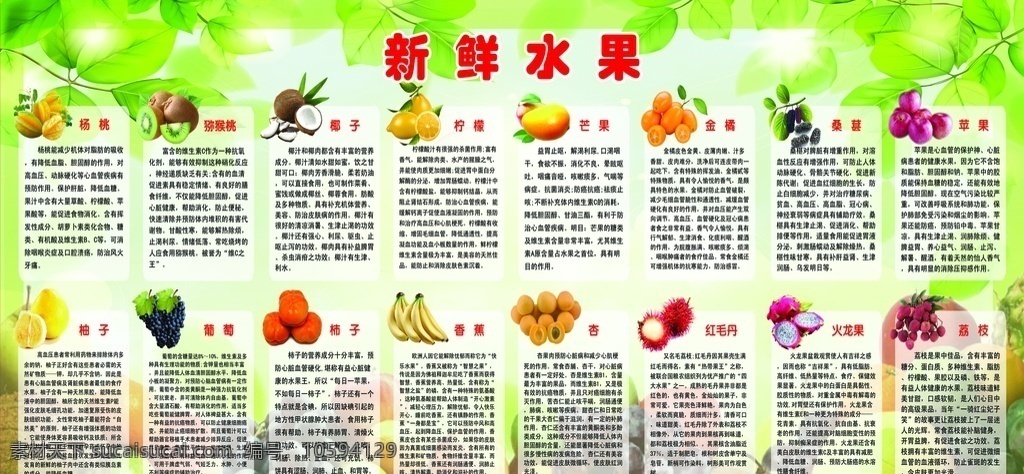 水果的好处 水果 水果店 水果的营养 水果简介 水果介绍 苹果 香蕉 榴莲 桔子 草莓 柚子 葡萄 猕猴桃 分层