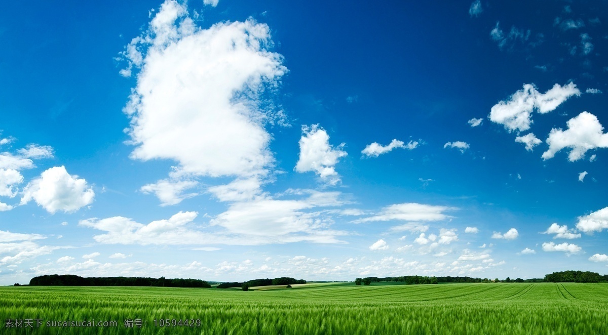 蓝天 白云 草原 清新 护眼 自然景观 自然风光
