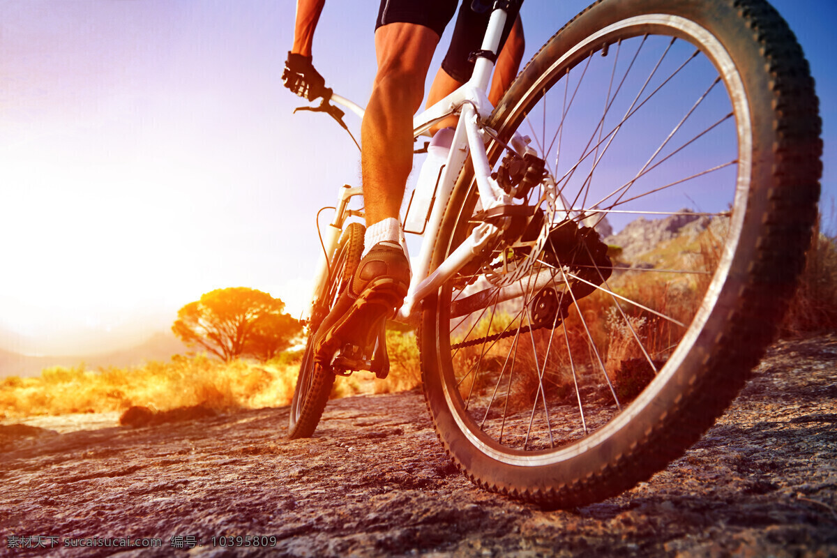 自行车 轮胎 特写 山地 黄昏 体育运动 户外运动 极限运动 生活百科 白色