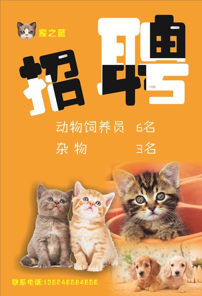 宠物招聘 招聘广告 动物 宠物 招聘 cdr文件
