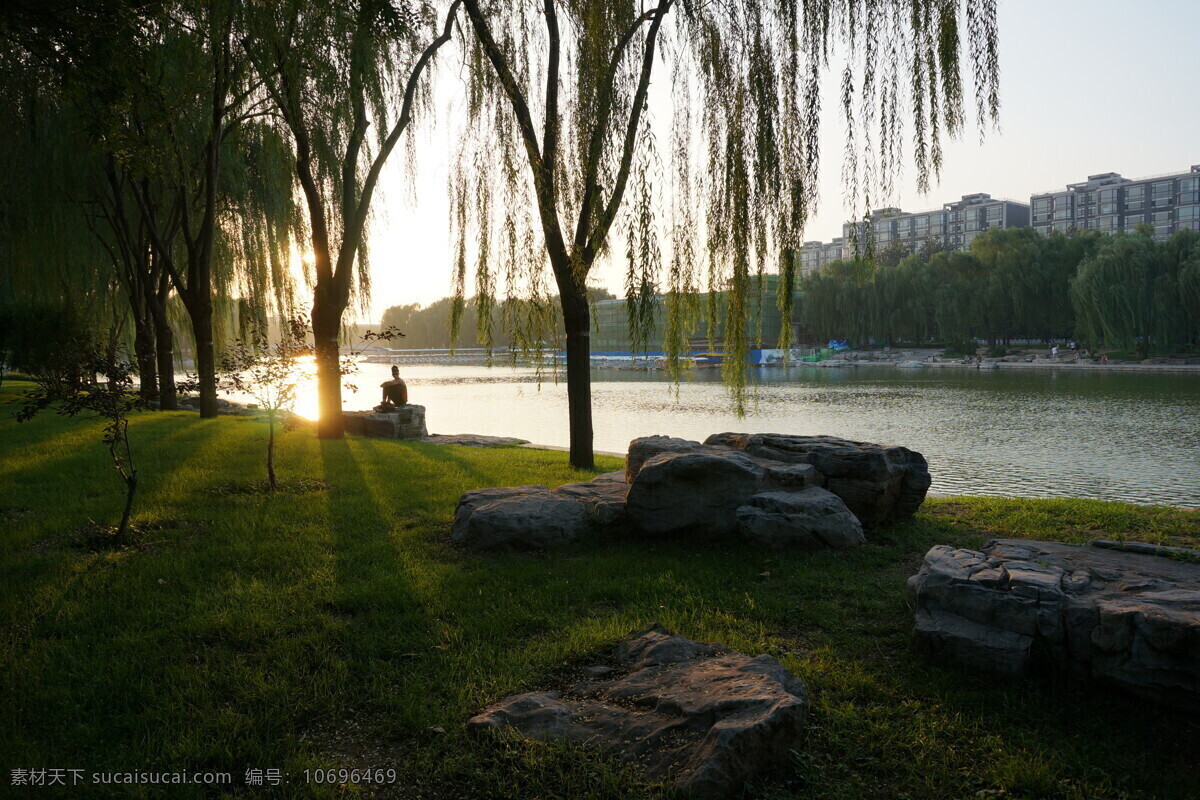垂柳 风景 公园 剪影 建筑园林 水面 夕阳 景观 夕阳景观 静坐的女子 园林建筑 psd源文件