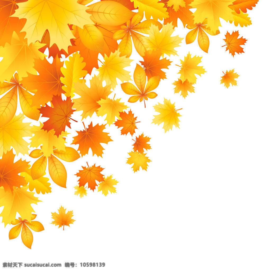 美丽 秋天 树叶 矢量 美丽的 秋天的 矢量素材