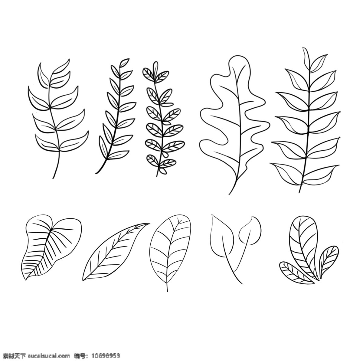 手绘 大自然 植物 线图 树叶 叶子 装饰 黑白 树叶线图 白色 黑色 简单植物 植被 大自然植物