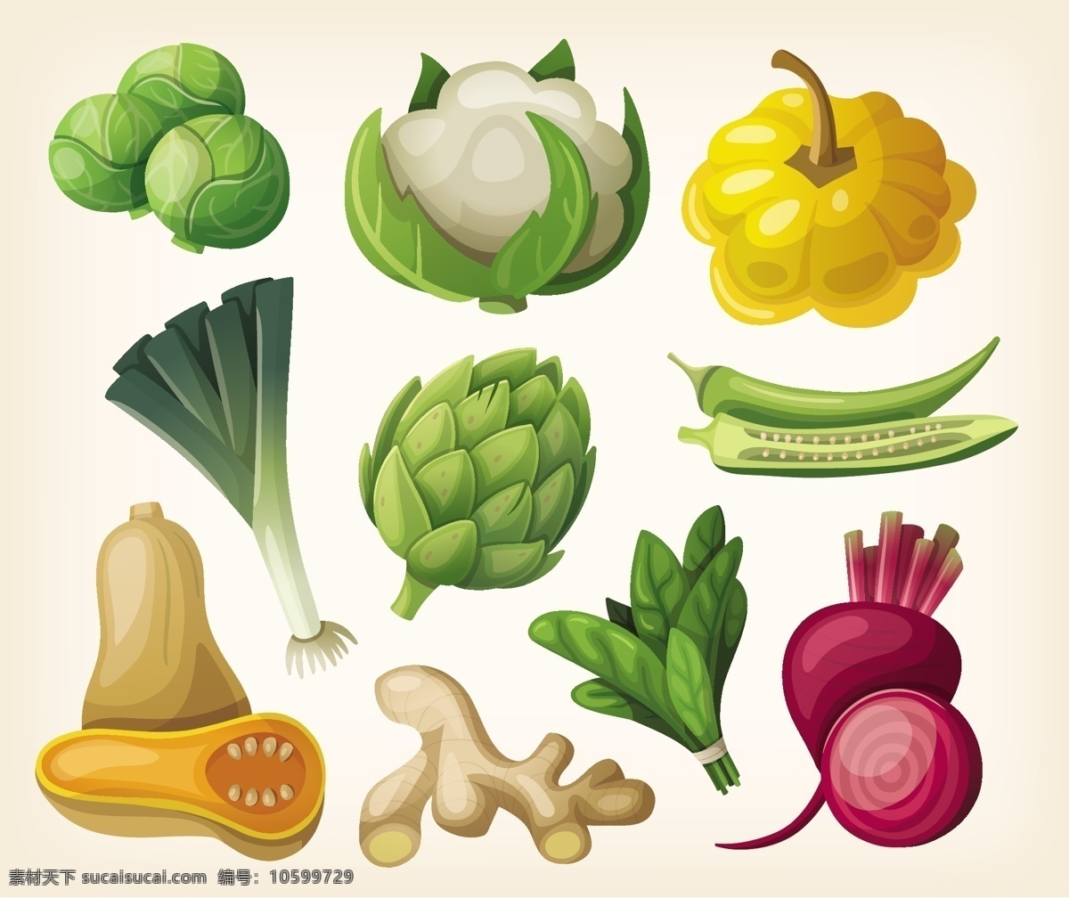 矢量蔬菜 卡通蔬菜 包菜 花菜 窝瓜 大葱 南瓜 萝卜 生姜 菠菜 餐饮美食 生物世界 蔬菜 白色