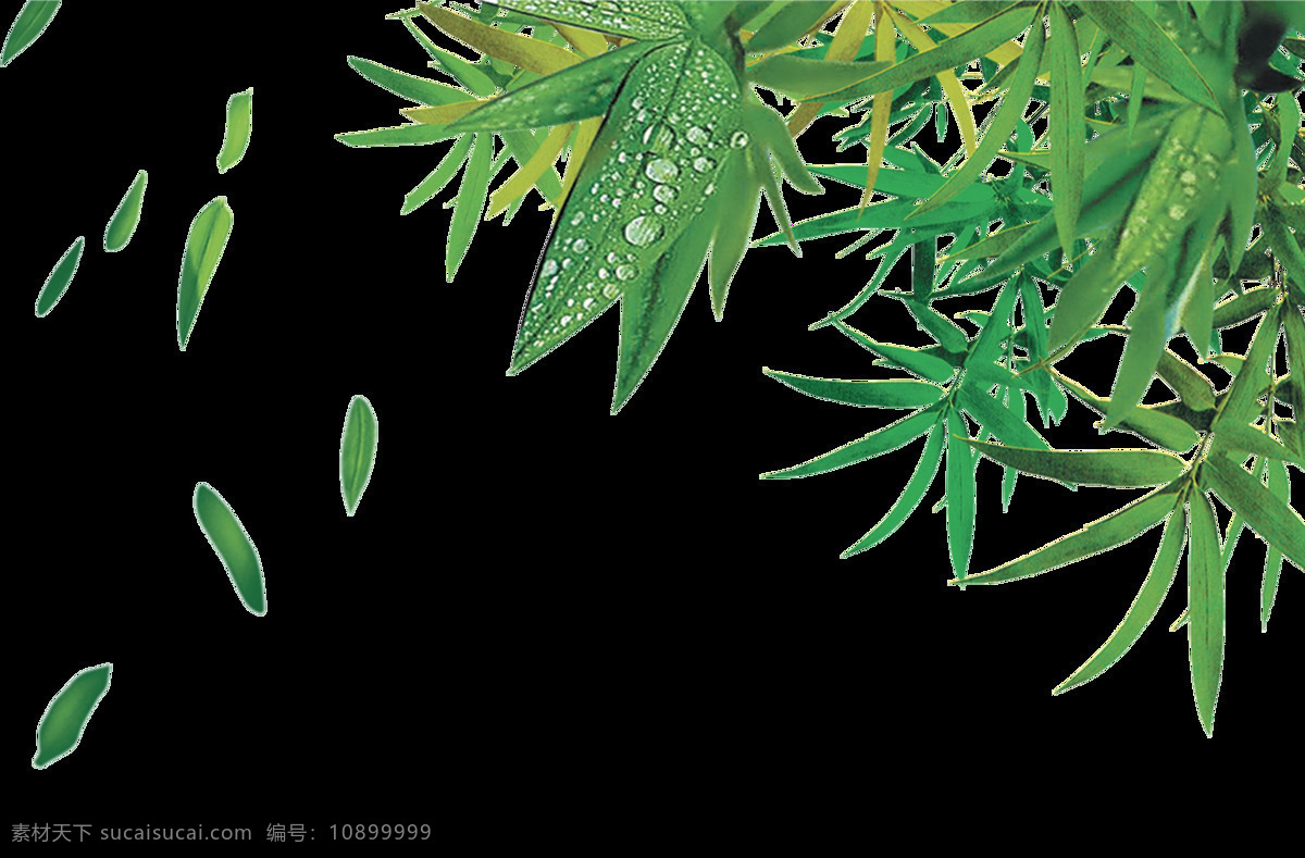 竹子设计素材 竹子 翠绿叶 飘落的 绿色竹叶 翠绿竹叶 设计素材 电商 竹林 分层 背景素材