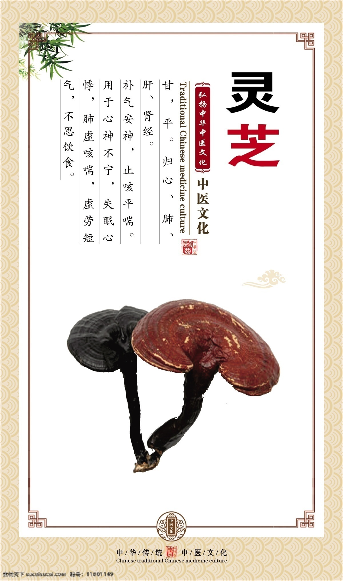 灵芝 中医 草药 中药 知识 挂图 宣传 展板 贴画
