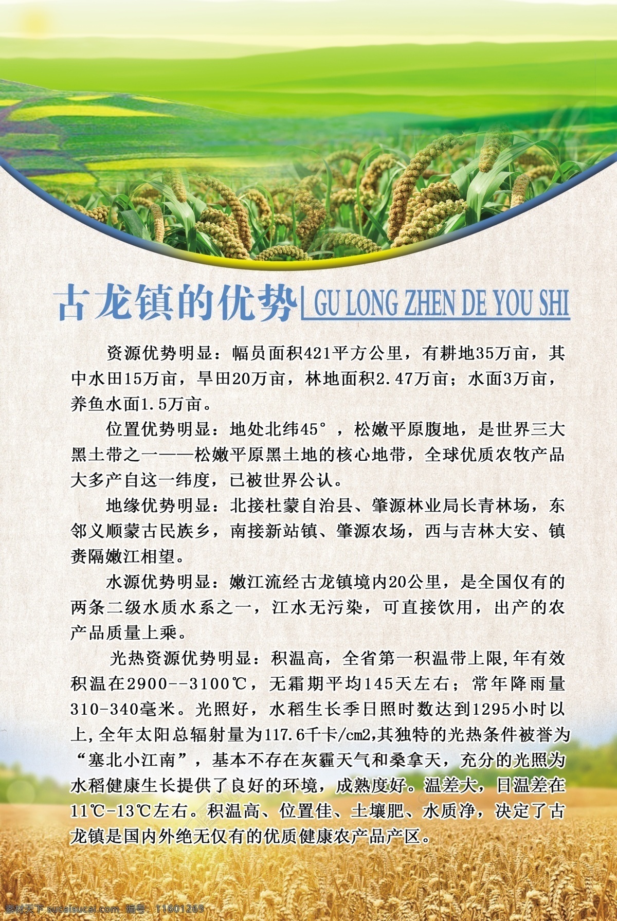 古龙贡米 黑龙江 大庆 肇源 古龙 贡米 生活百科 餐饮美食