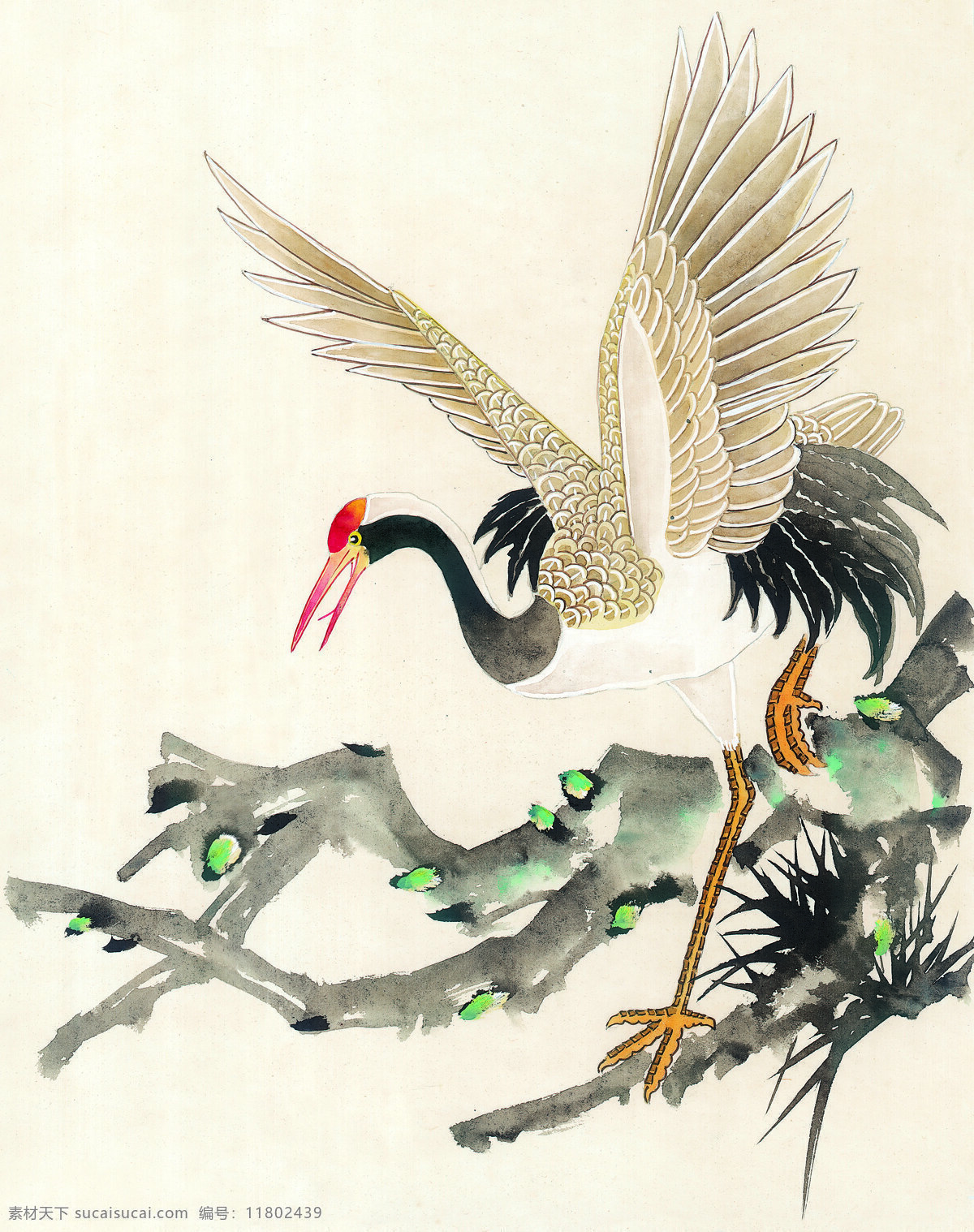 国画 水彩 白鹤 水墨画 鸟类 文化艺术 绘画书法 设计图库
