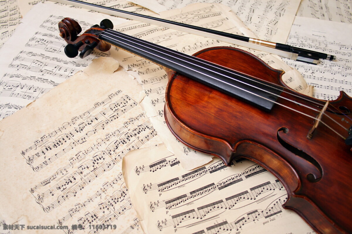 小提琴 乐谱 特写 音乐艺术 音乐 乐器 弦乐器 五线谱 摄影图片 高清图片 影音娱乐 生活百科