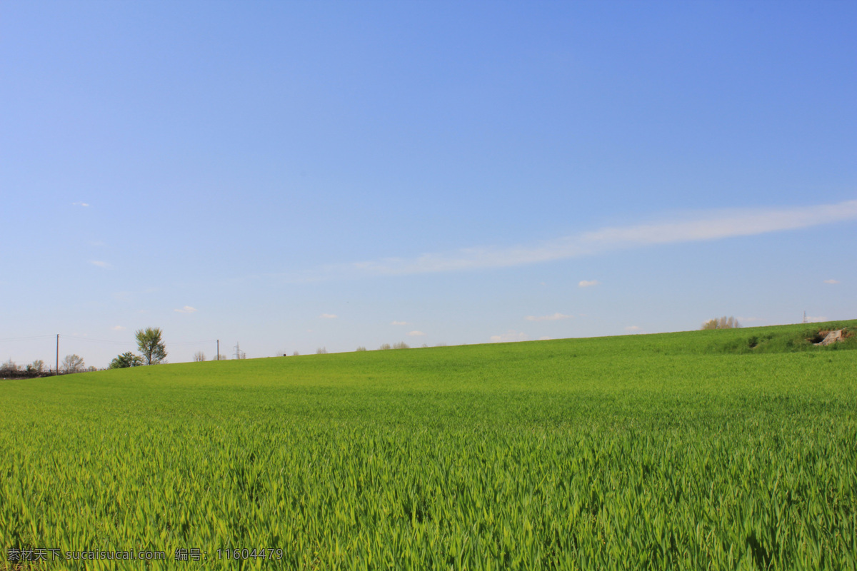 草原风光 草原 大草原 蒙古 草场 牧场 高原 生态 蓝天白云 自然美景 自然风景 自然景观