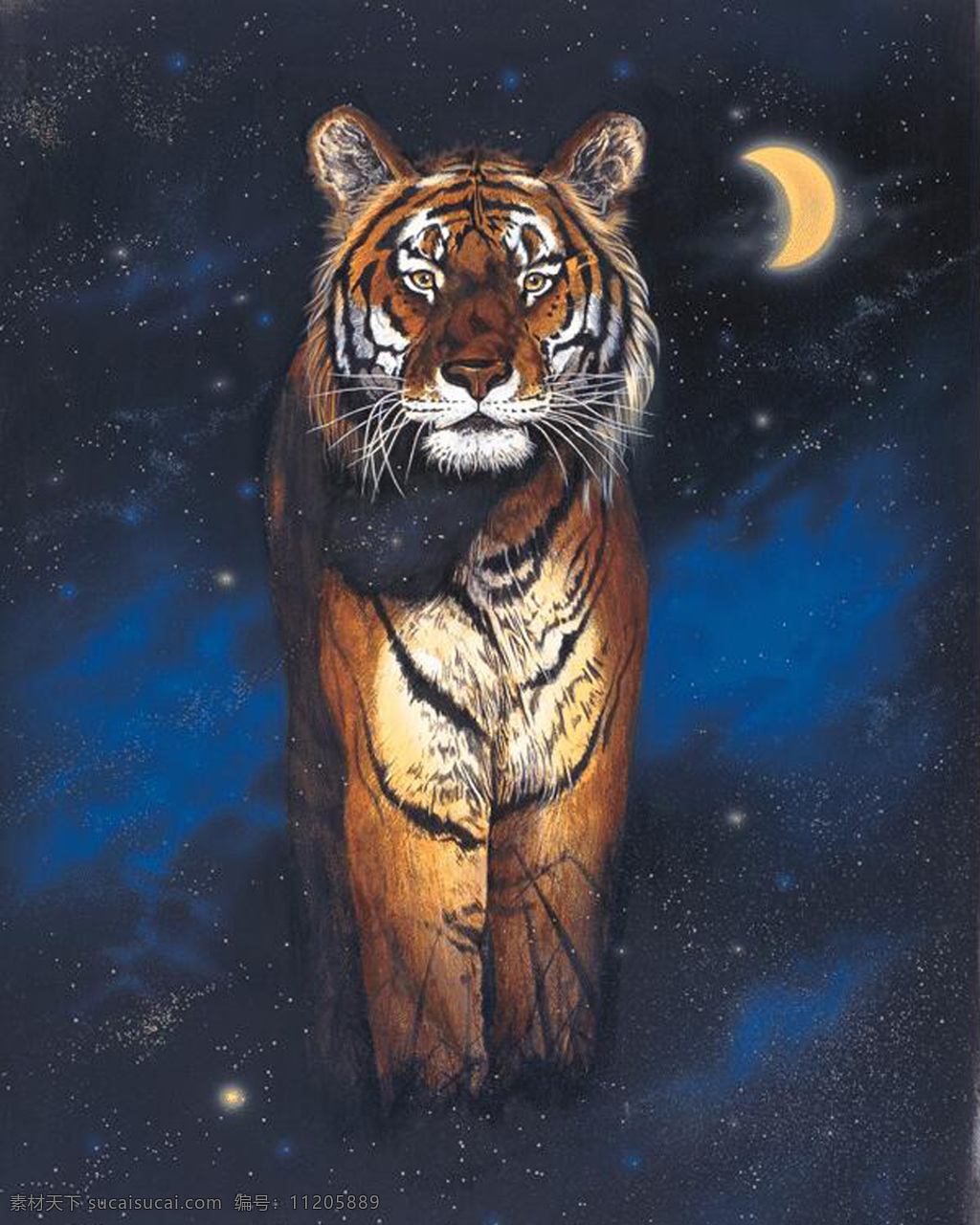 老虎 动物插图 肉食动物05 设计素材 肉食动物 书画美术 黑色