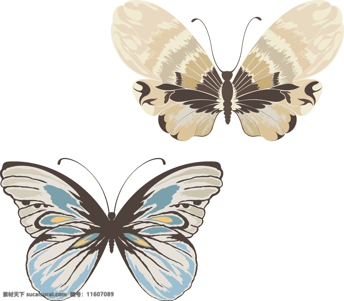 卡通蝴蝶插画 蝴蝶 动物 昆虫 小动物 飞行动物 生物世界