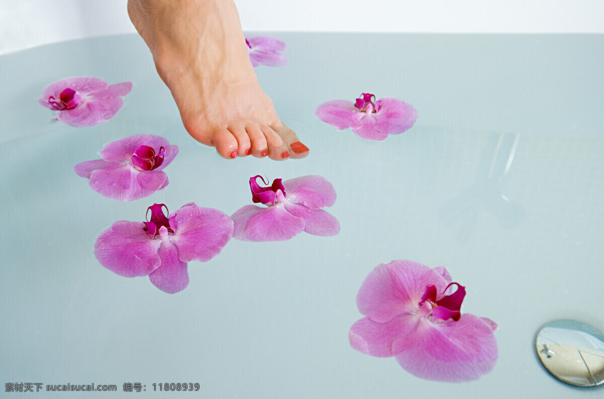 高清 美女 沐浴 人物 女性 女人 脚 指甲油 花瓣 浴缸 美容 生活 高清图片 美女图片 人物图片