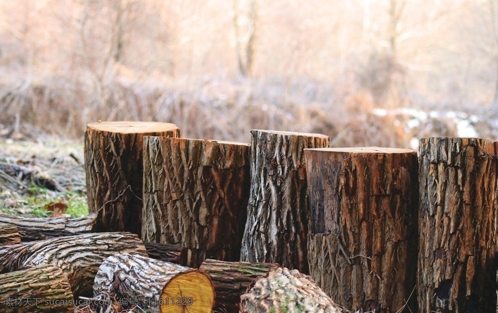 木桩图 木柱字 木头 木桩 木块 树木 树根 木质 底纹 自然景观