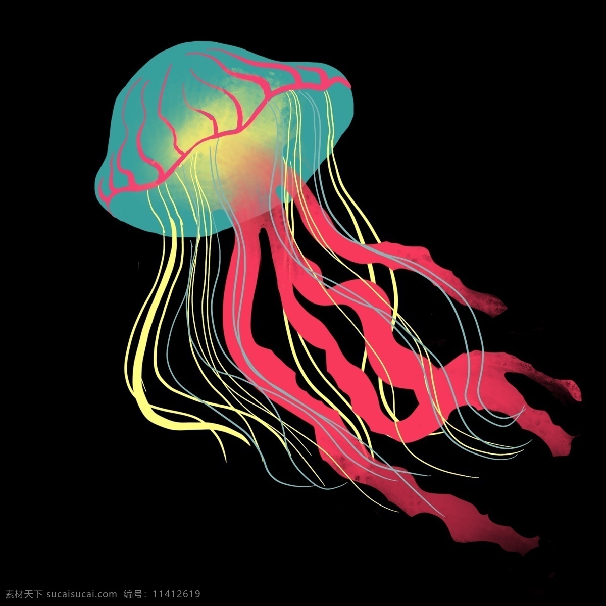 彩色海洋水母 海洋水母 海洋生物 水母