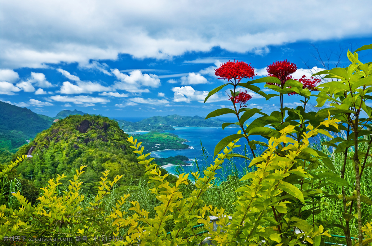 风景素材 海滩 背景 沙滩 河水 花草 花卉 绿色 美丽 天空 森林 蓝天白云