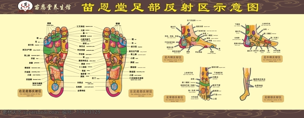 足 部 反射 区 示意图 人体穴位图 穴位 穴位图 展板模板 足部穴位图 足部示意图 足部反射区 足部 足疗 图解 现代科技 医疗护理 海报