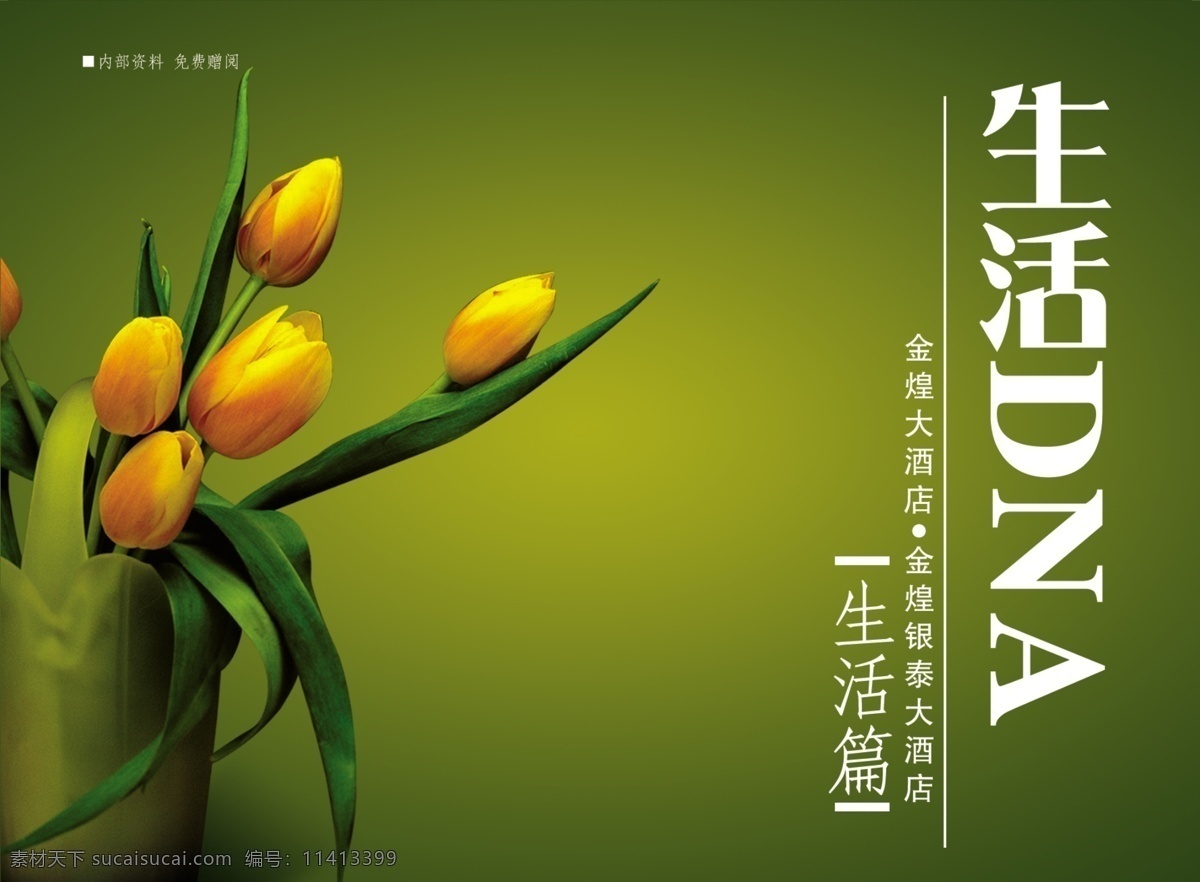 画册杂志封面 封面 郁金香 生活 dna dm 画册设计 广告设计模板 源文件