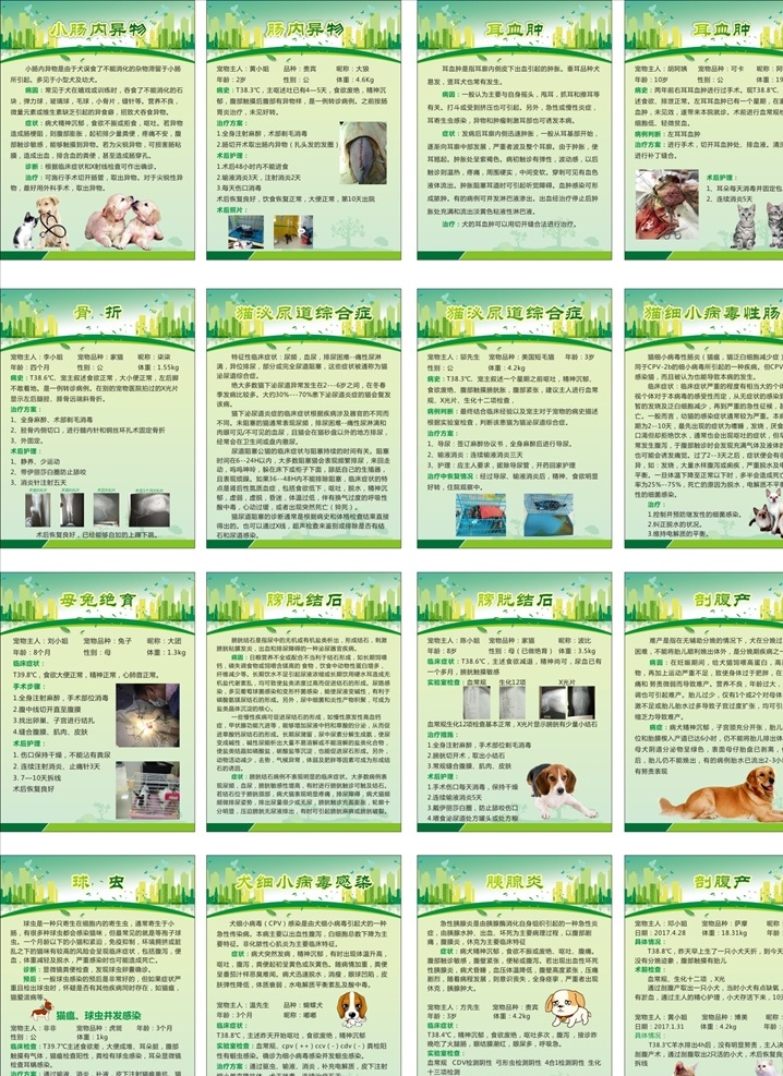 宠物看病 宠物 宠物诊所 宠物海报 动物医院 宠物护理 动物诊所 宠物美容 宠物医院海报 宠物猫 宠物店海报 宠物交易 宠物衣服 宠物粮食 宠物医院招牌 宠物买卖 宠物店 宠物之家 宠物洗澡 宠物摄影 萌宠 宠物食品 宠物广告 女性宠物 宠物市场 展板