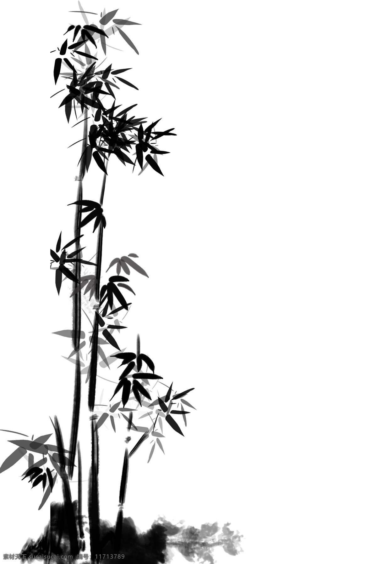 古风 黑白 水墨 竹子 水墨竹子 简约 装饰 手绘 写意 黑白风 水墨植物 中国 风