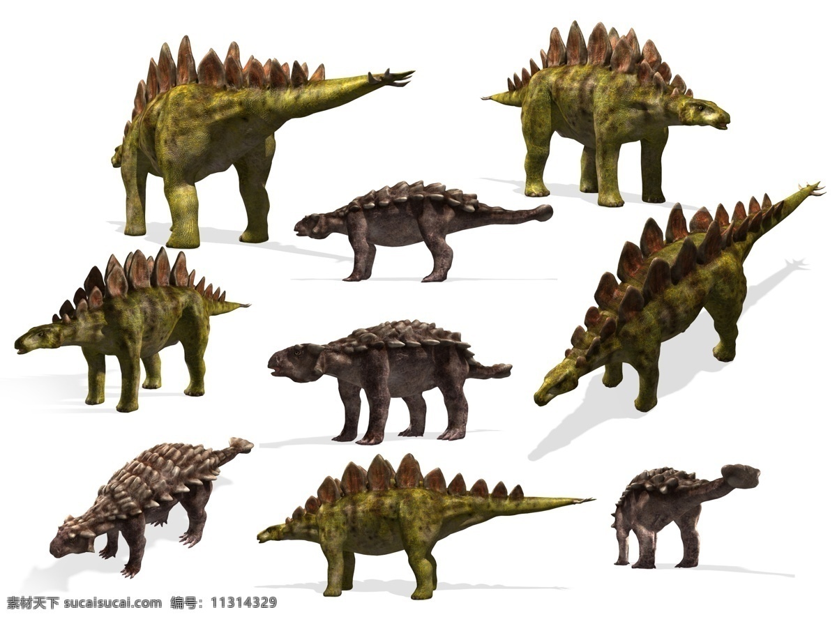 不同 角度 剑龙 恐龙 3d动画 侏罗纪 侏罗纪公园 陆地动物 生物世界 白色