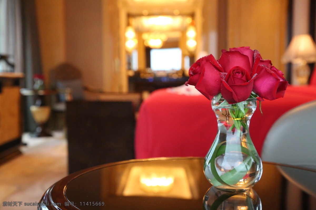 花瓶 玫瑰 蔷薇 情人节布置 婚房 求婚 玫瑰花 场景 建筑园林 室内摄影