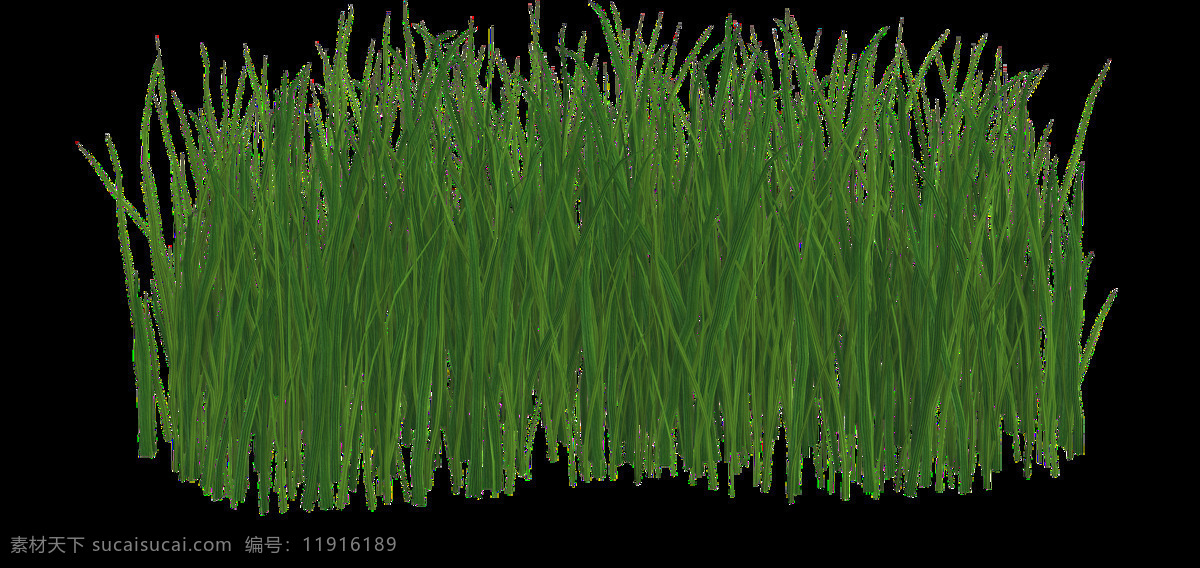 绿色 草坪 透明 底 透明底 草 免扣素材 底纹边框 其他素材
