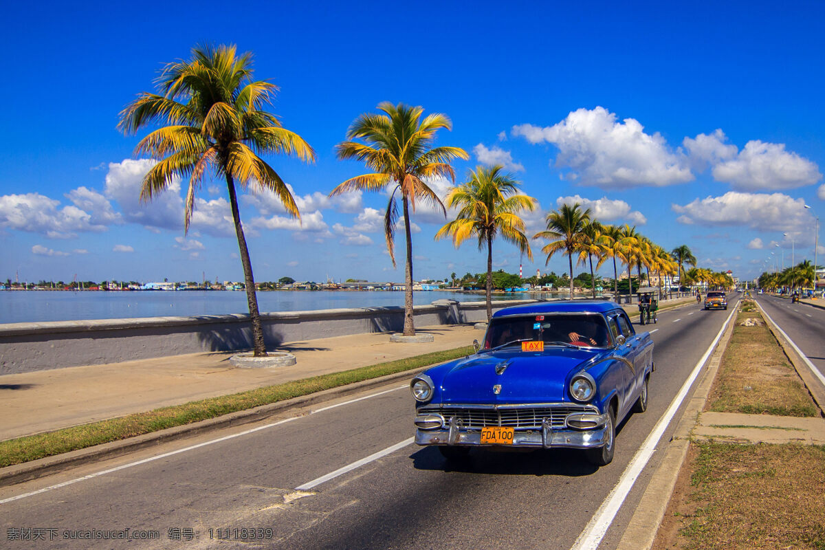 道路上的汽车 海边 椰子树 道路 汽车 建筑 景观 风景 旅游胜地 城市风光 环境家居 蓝色