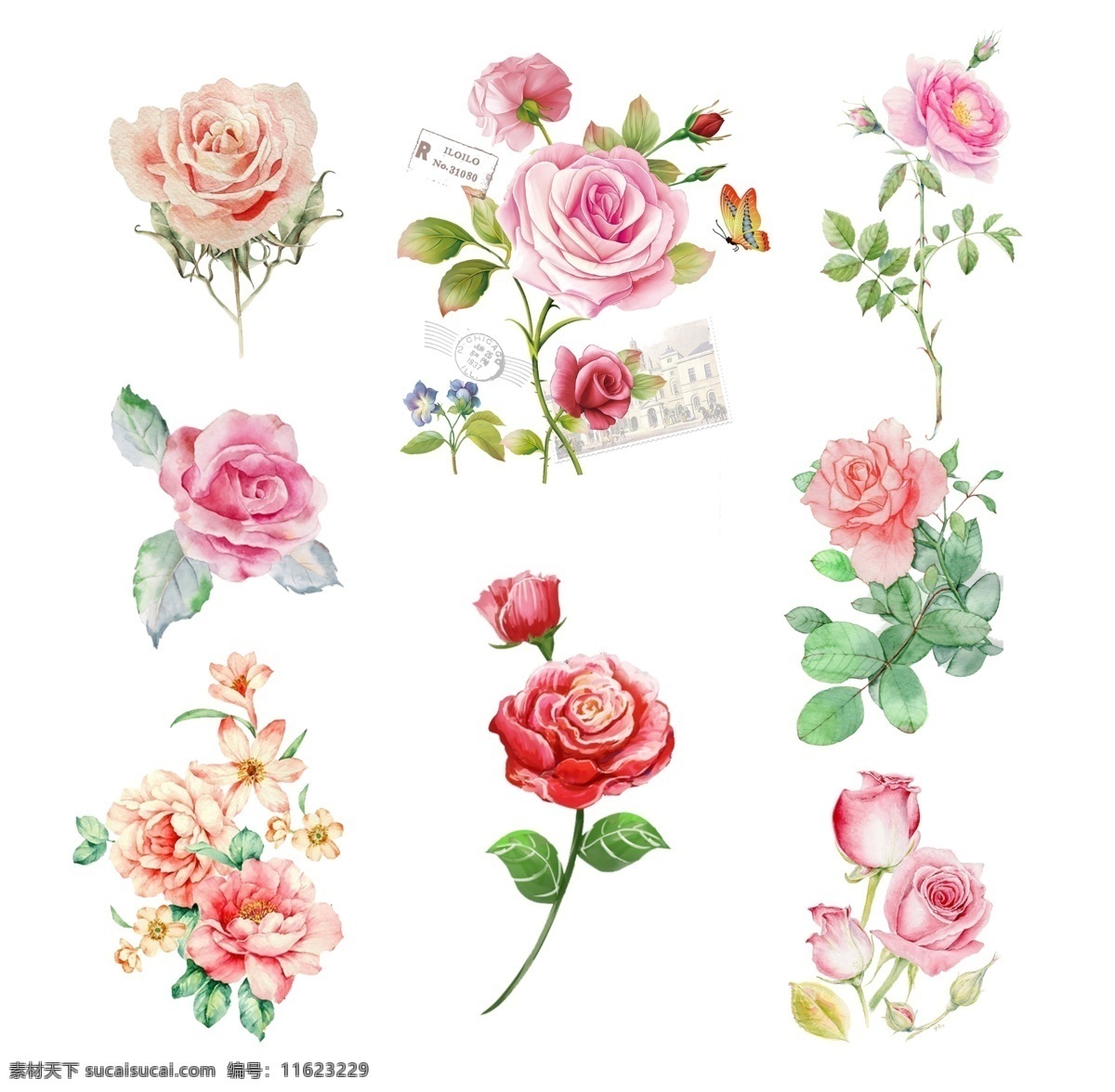 矢量素材 手绘插画 节气手绘 手绘插画素材 插画 海报素材 矢量花朵 花瓣 玫瑰花 康乃馨 牡丹花 月季 花开富贵 茶花 分层 背景素材