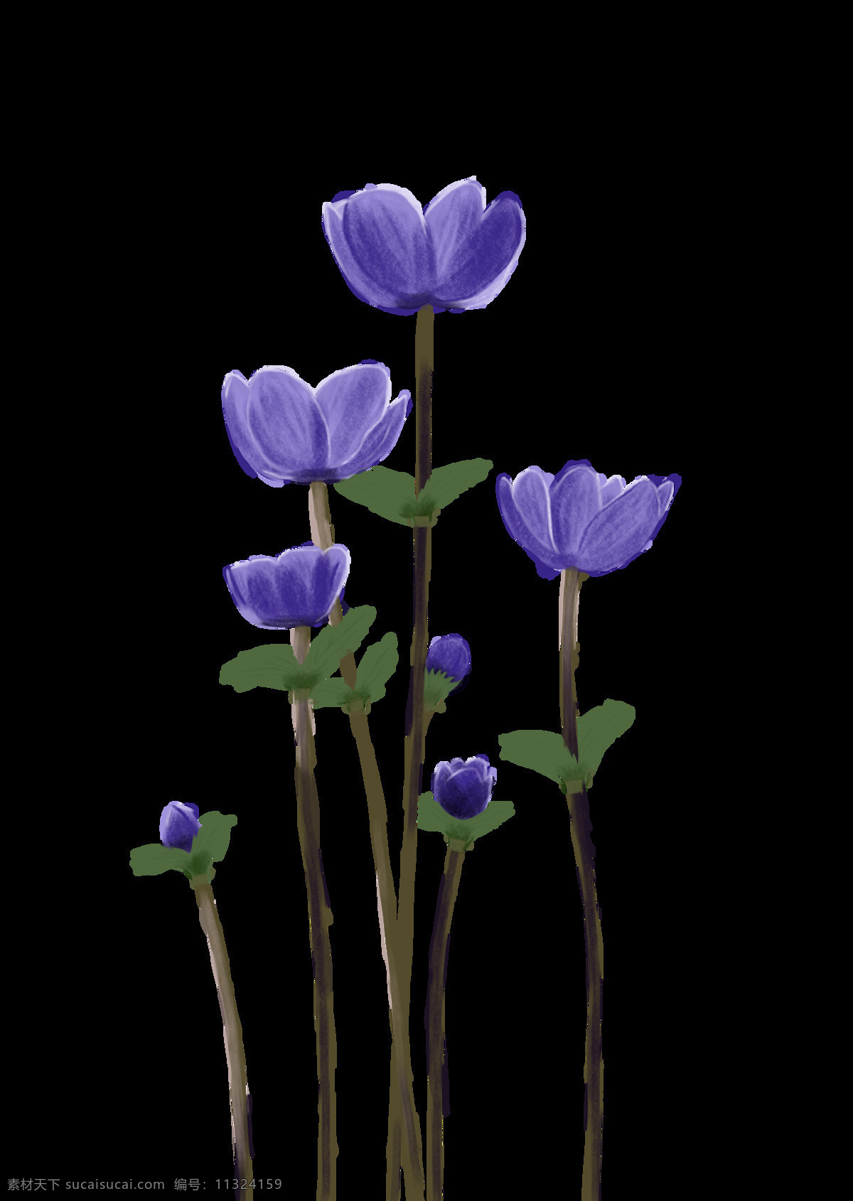 丛 紫色 小花 花朵 背景 装饰