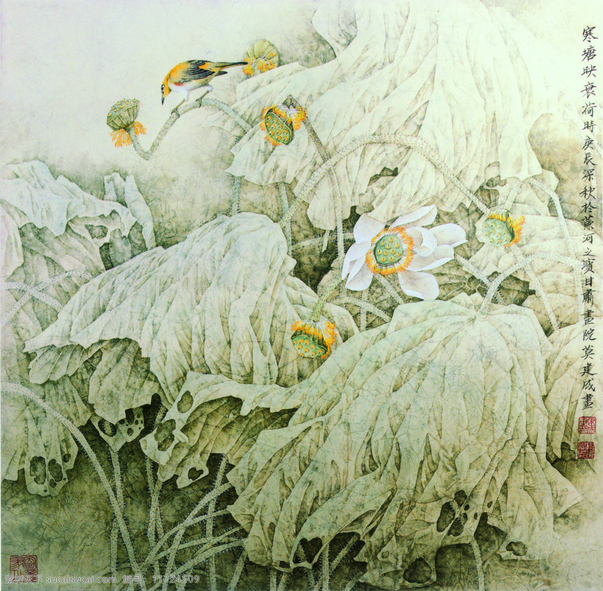 寒塘映衰荷 中国工笔画 背景 莫建成 花鸟画 白花 水墨画 荷花 池塘 莲花 文化艺术 绘画书法 设计图库