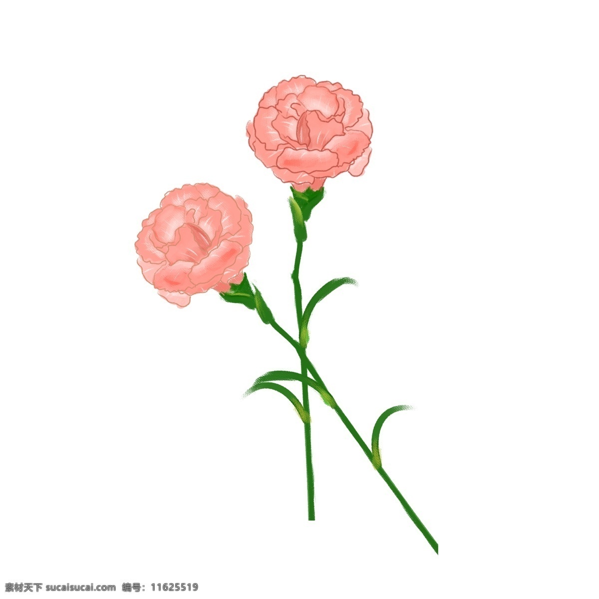 康乃馨 母亲节 手绘 花朵 元素 双十一 双11 双十二 双12 花卉 粉色 淘宝 天猫 电商 卡通手绘 装饰图案 节日花朵