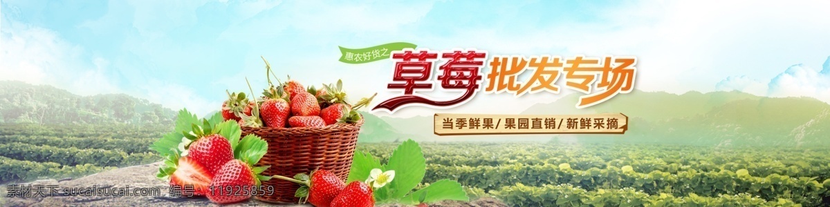 草莓 新鲜草莓 banner 草莓批发 果篮草莓 淘宝界面设计 淘宝 广告