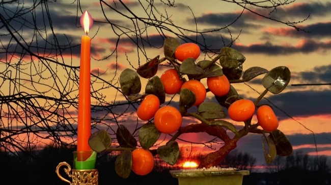 视频背景 实拍视频 视频 视频素材 视频模版 蜡烛 水果 蜡烛水果 水果视频
