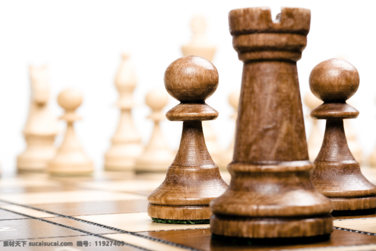 国际象棋 国际 象棋 木头 马 国王 皇后 文化艺术 传统文化
