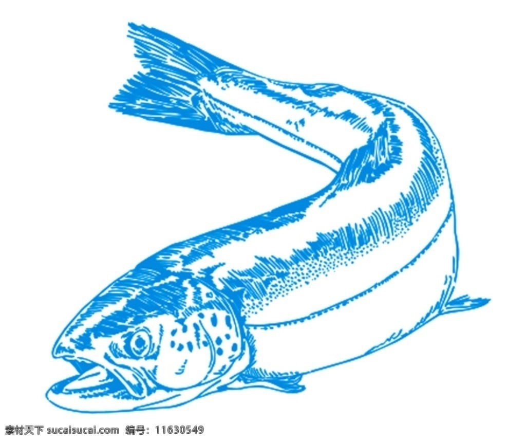 矢量鱼图片 可编辑 矢量鱼 手绘 超市 生鲜 底图运用