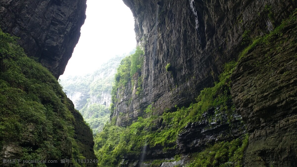 武隆天坑 旅游 国内 重庆 武隆 天坑 喀斯特 植物 植物花草 旅游摄影 国内旅游