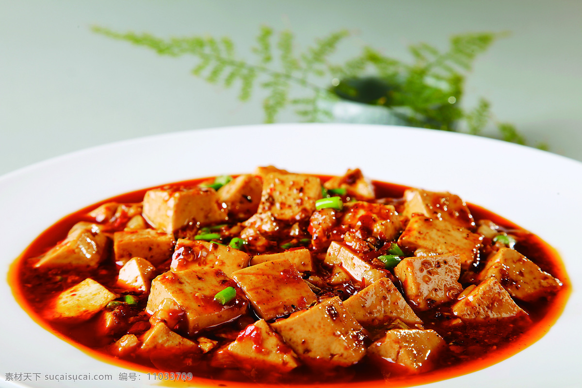 麻婆豆腐 麻辣豆腐 嫩豆腐 红烧豆腐 豆腐 美食 餐饮美食 传统美食