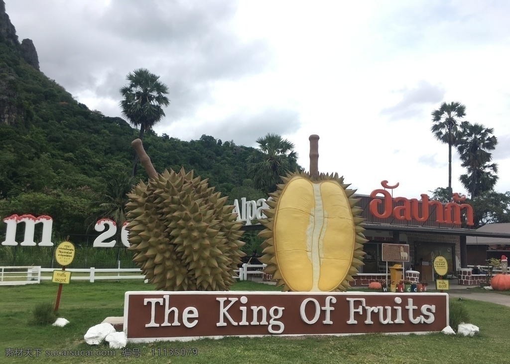 榴莲 泰国 旅游 风景 山 乐园 旅游摄影 国外旅游