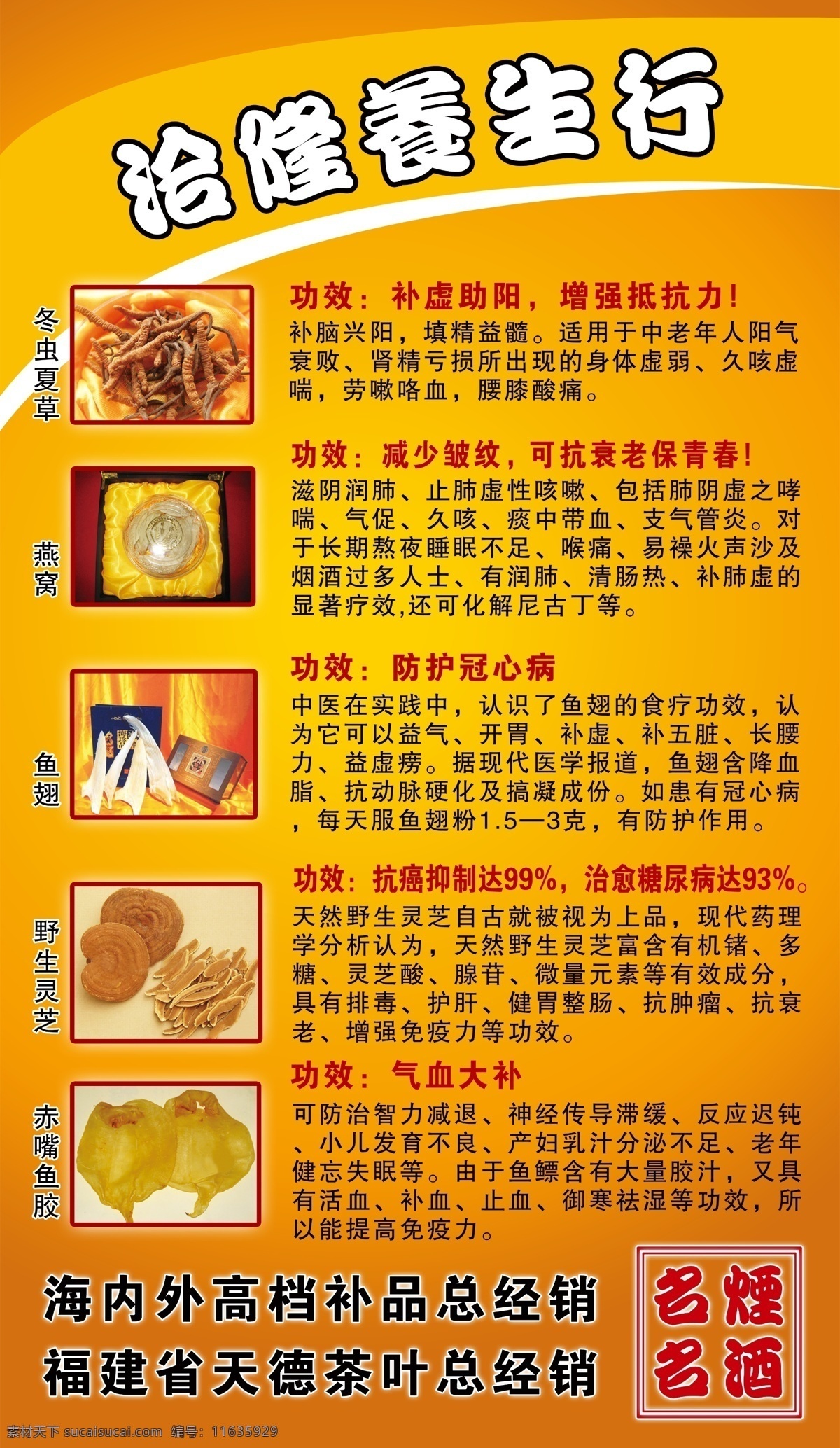 养生行 冬虫夏草 燕窝 鱼翅 野生灵芝 赤嘴鱼胶 补品 药材 国内广告设计 广告设计模板 源文件