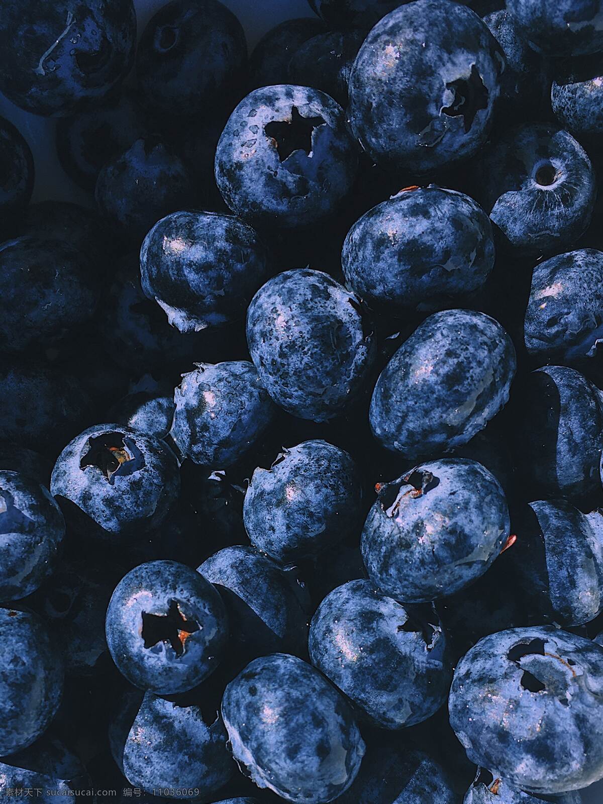 水果蓝莓 美味 新鲜 水果 蓝莓 实拍 生物世界