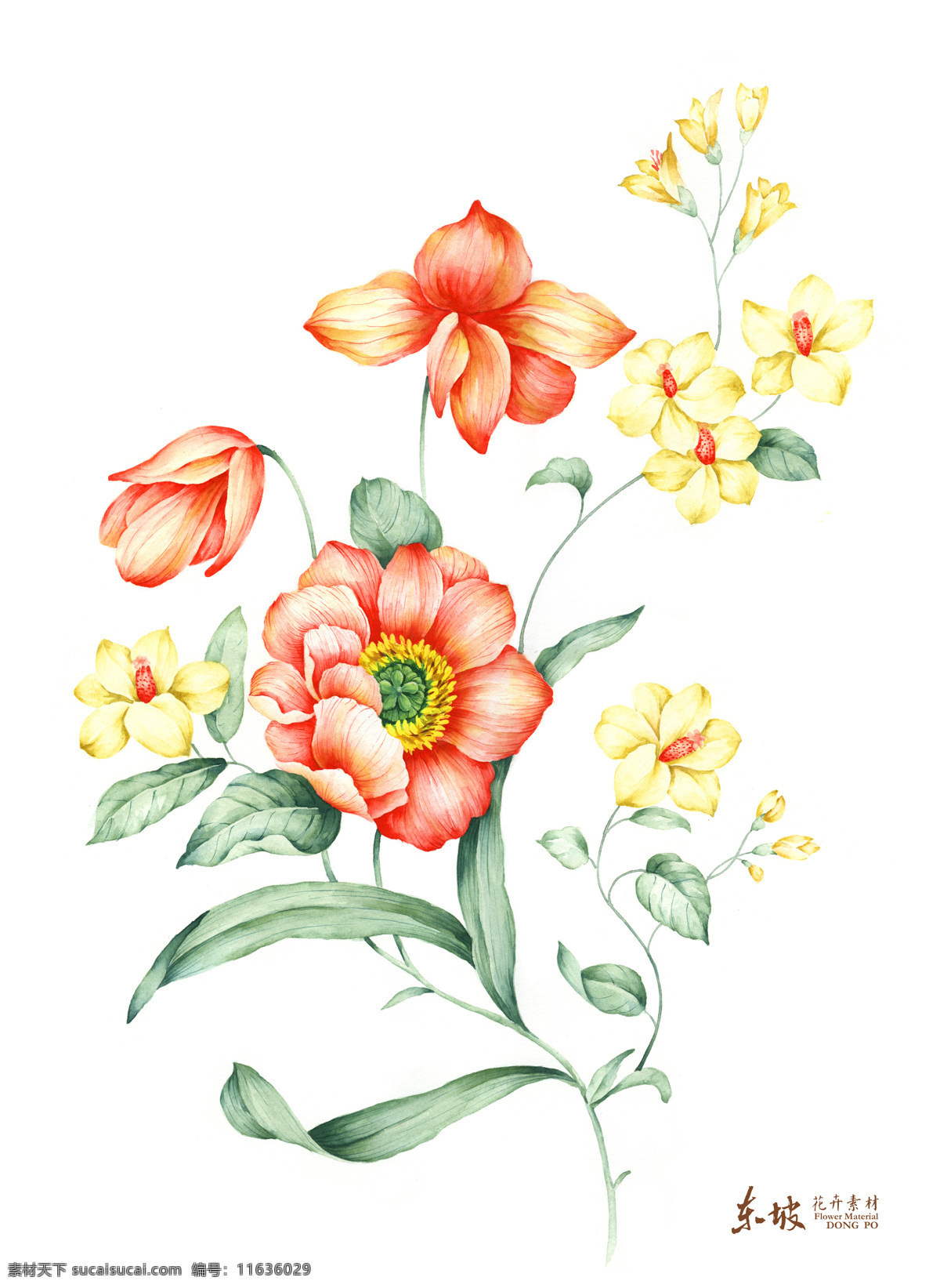 手绘花卉 花卉 手绘 花 叶子 红色 黄色 绘画书法 文化艺术
