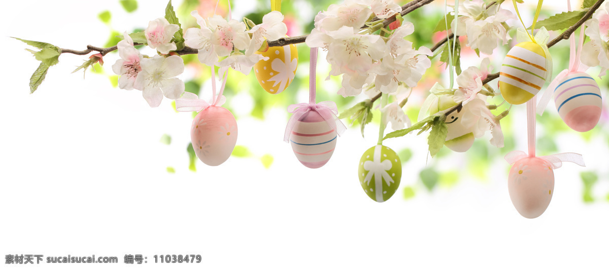树枝 上 挂 彩蛋 复活节彩蛋 彩蛋摄影 复活节素材 复活节主题 花朵 花卉 节日庆典 生活百科 白色
