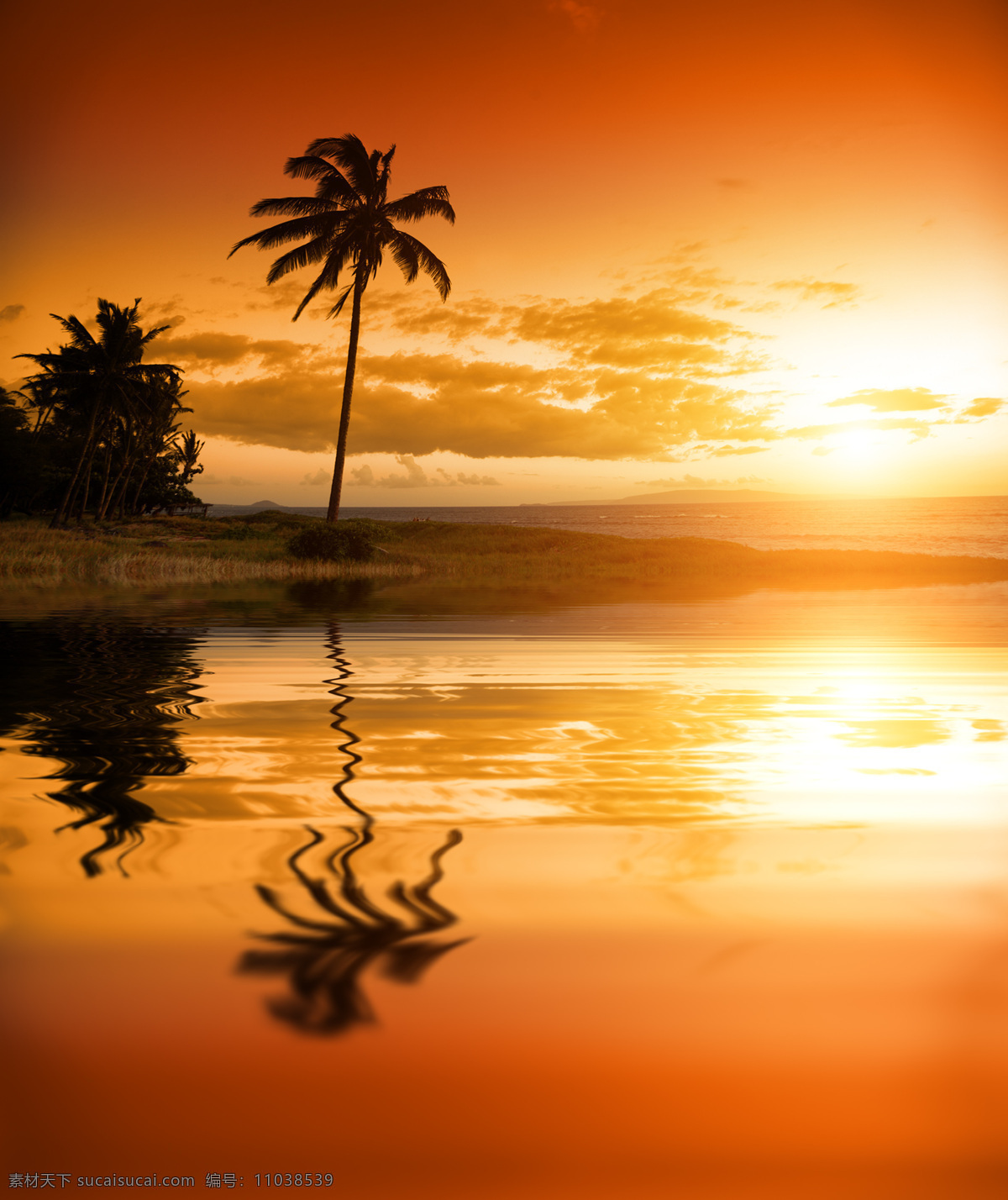 海边 小岛 上 椰子树 海面 大海 落日 日落 黄昏 天空云彩 自然景观 橙色