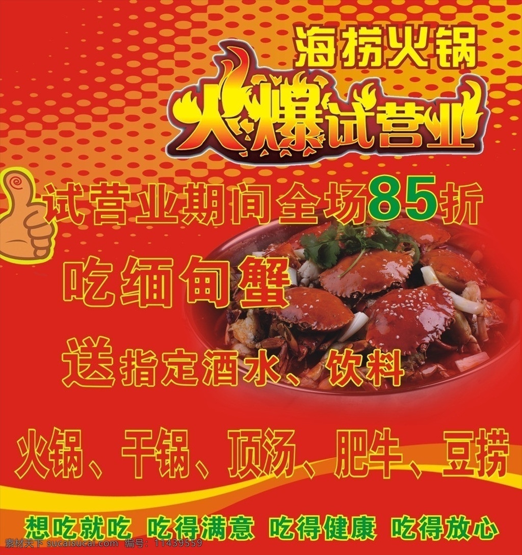 蟹子 缅甸蟹 火爆试营业 红色 蟹子写真 矢量
