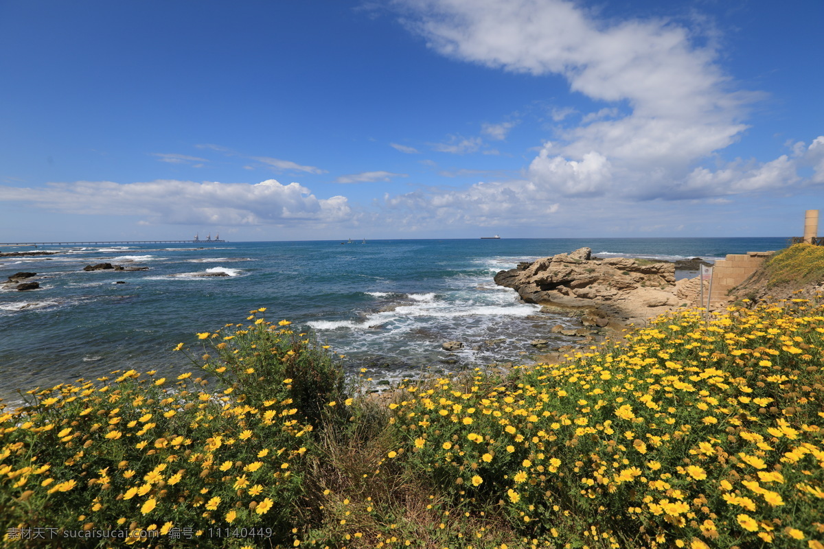 地中海滨 天空 蓝天 白云 海边 海岸 草地 海滩 海浪 浪花 鲜花 自然景观 自然风景