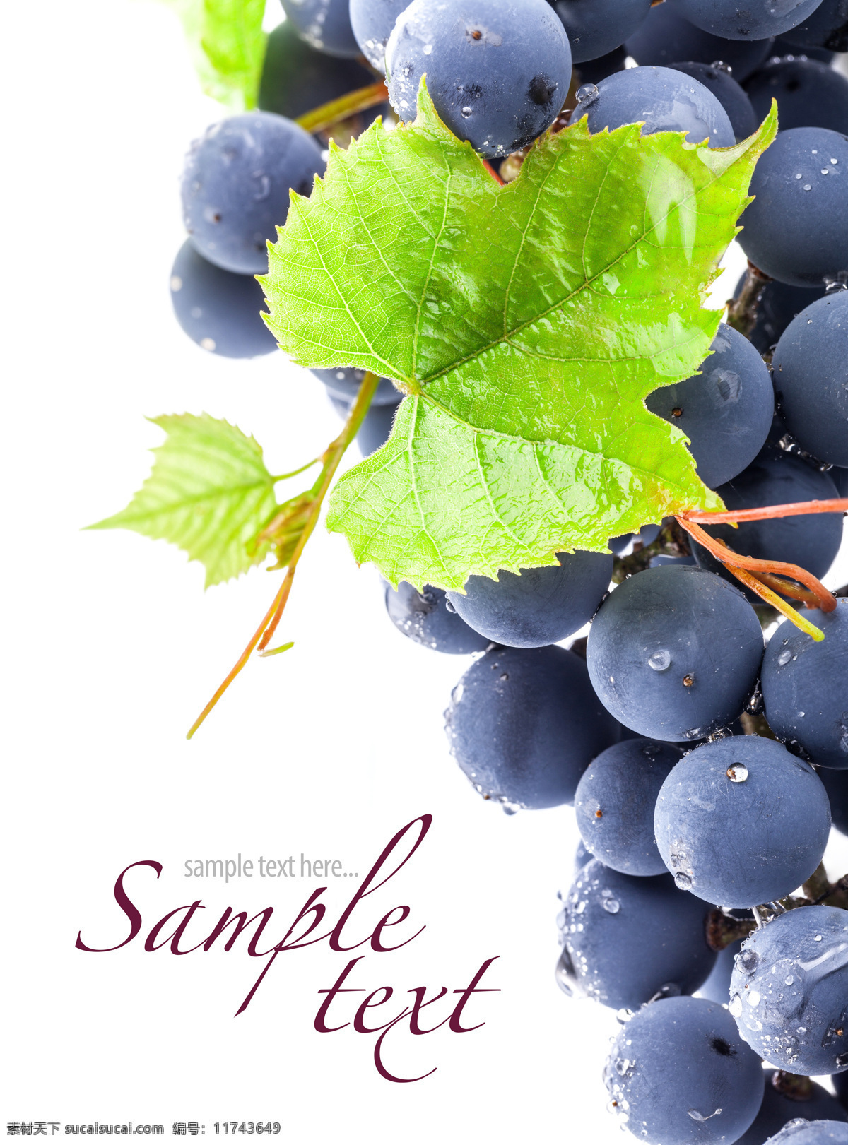 新鲜 水果 葡萄 新鲜水果 新鲜葡萄 红酒 葡萄叶 水果图片 餐饮美食
