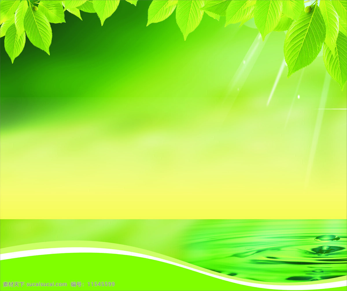绿色背景图 绿色 背景 阳光 树叶 水滴 自然风光 自然景观