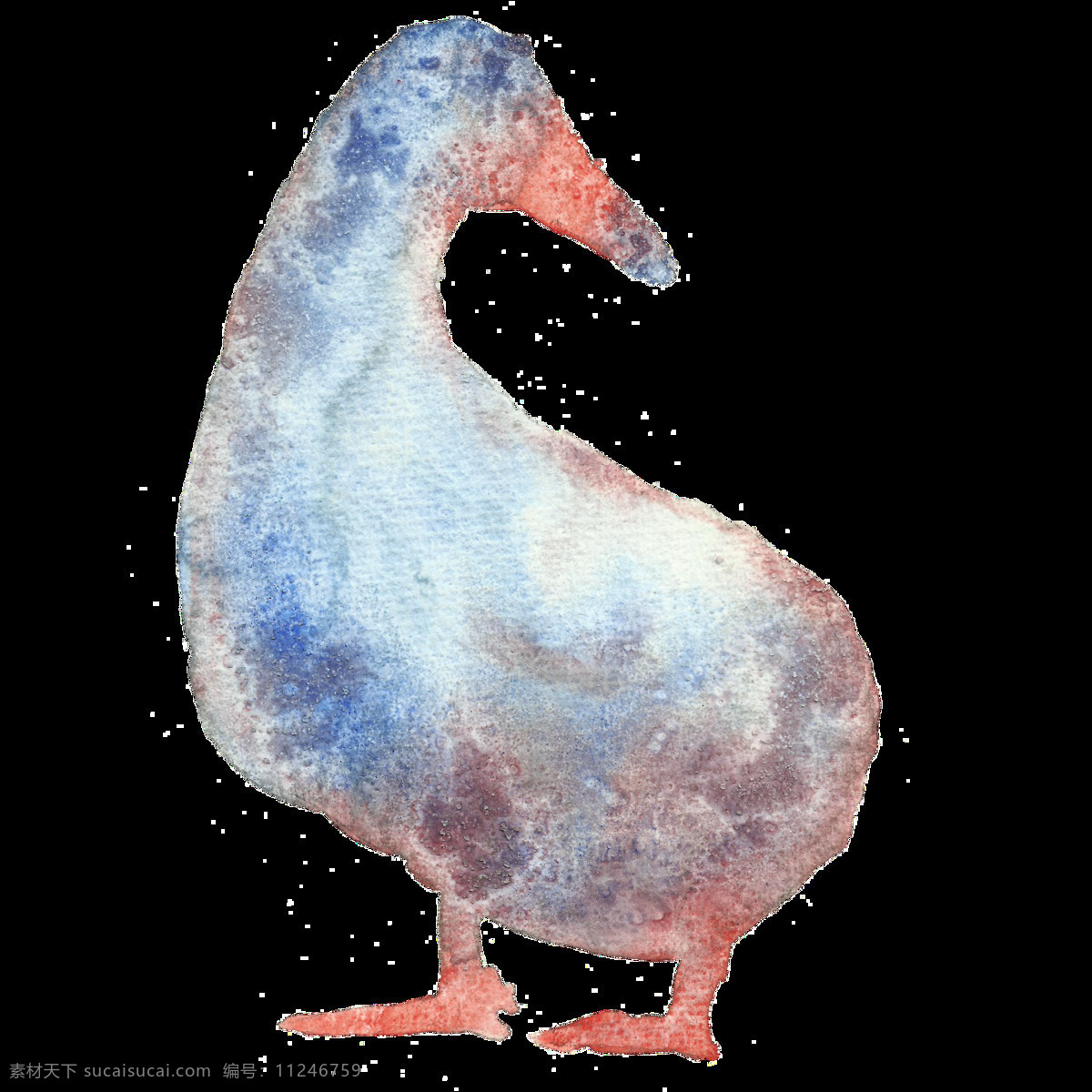 手绘 鸭子 透明 装饰 图案 可爱 肥胖 水彩 蓝色 透明素材 免扣素材 装饰图片