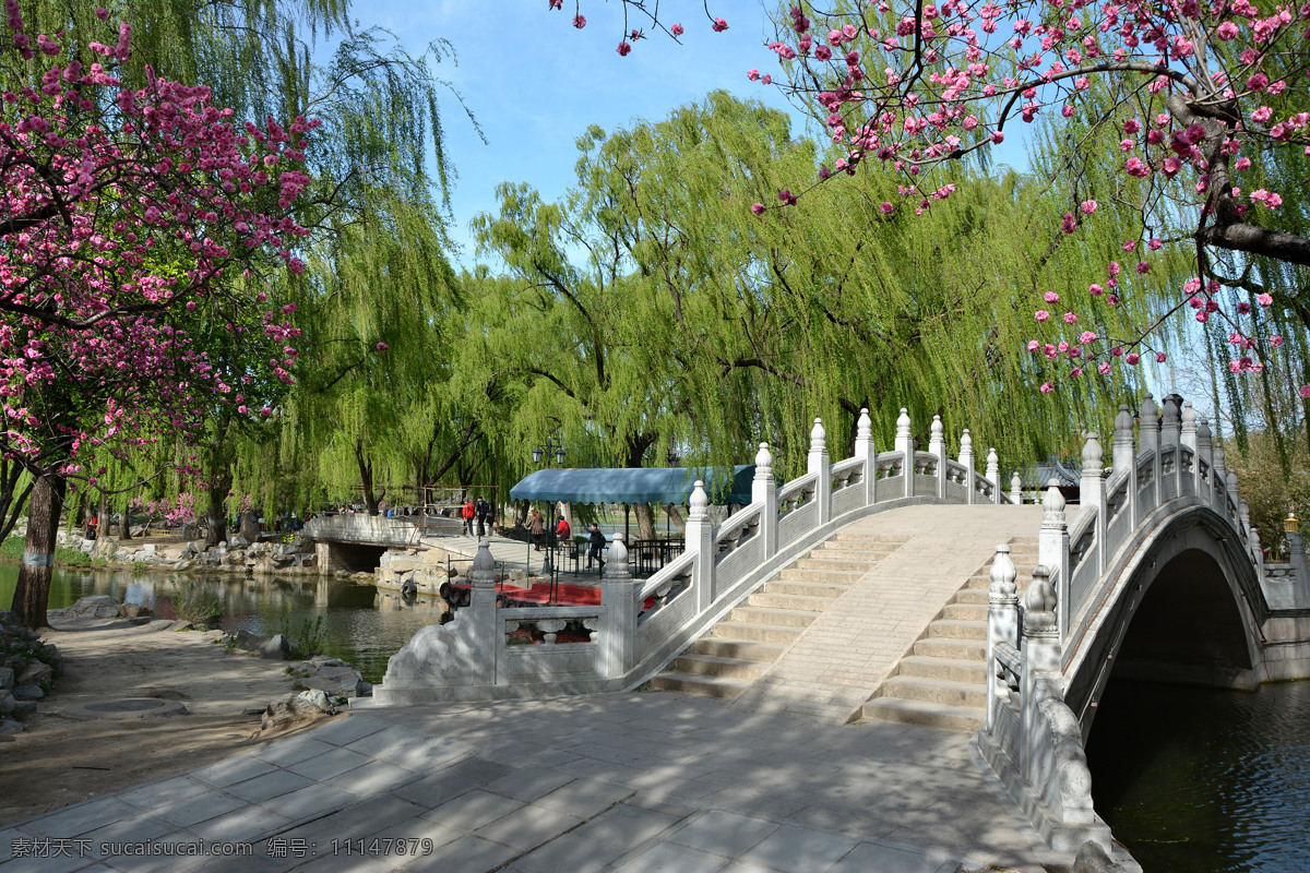 圆明园 园林 园林桥梁 中式桥梁 北京园林 垂柳 古典建筑 中式园林 皇家园林 中式建筑 自然景观 风景名胜 自然风景